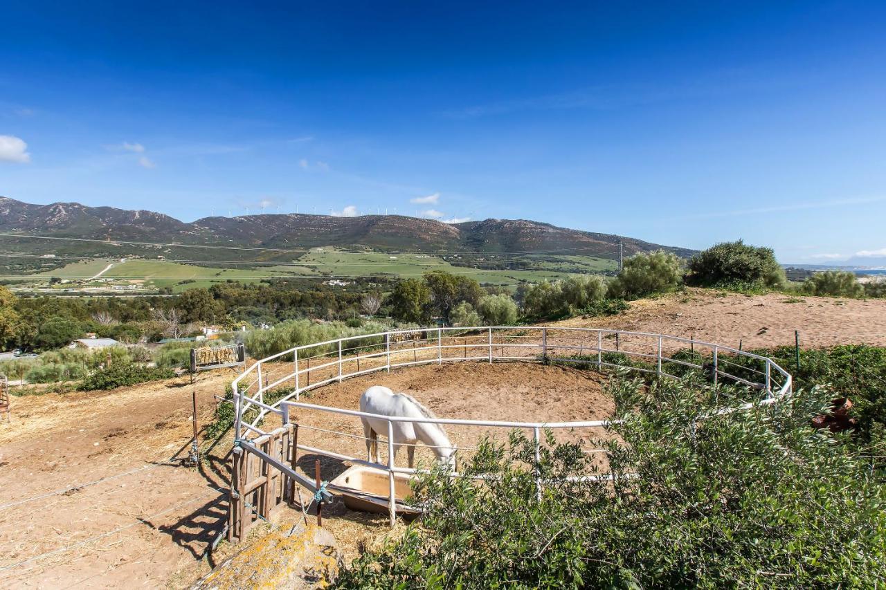 Casita Rural En Centro De Hipica Lejlighed Tarifa Eksteriør billede