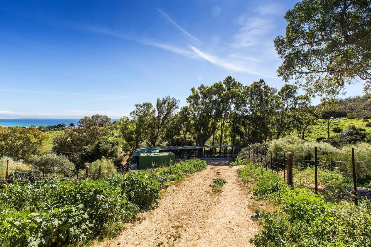 Casita Rural En Centro De Hipica Lejlighed Tarifa Eksteriør billede