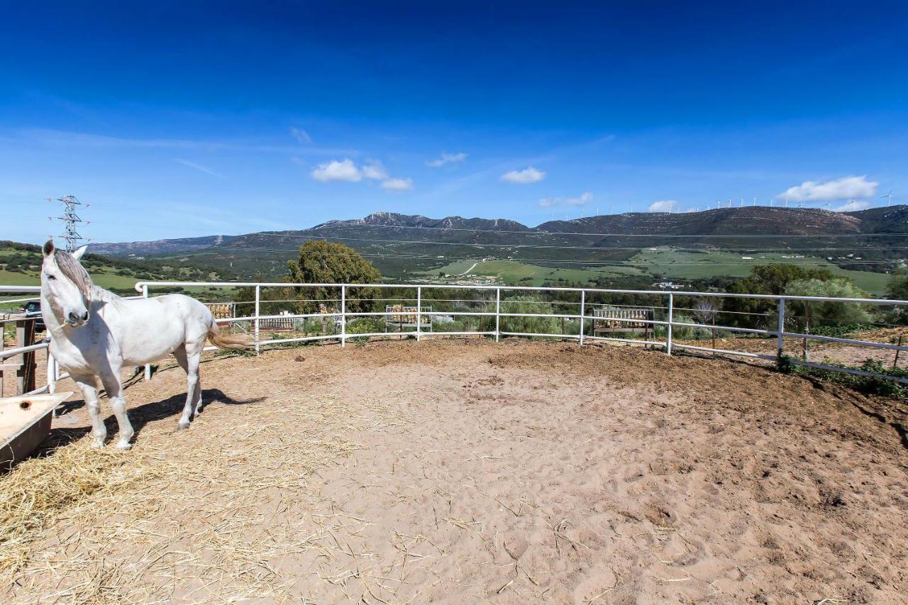 Casita Rural En Centro De Hipica Lejlighed Tarifa Eksteriør billede