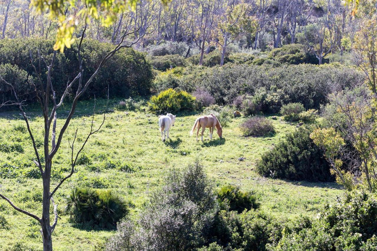 Casita Rural En Centro De Hipica Lejlighed Tarifa Eksteriør billede